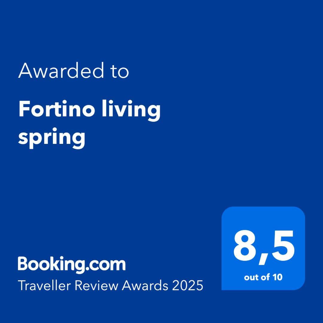 Fortino Living Spring 卡塔尼亚 外观 照片